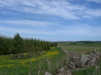 View from south gate towards