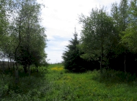 Private clearing