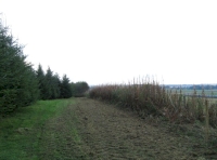  Private mowed track