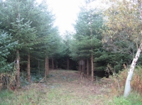 Secluded parking area