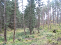 Gentle valley in SW corner