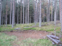 Level clearing & log pile