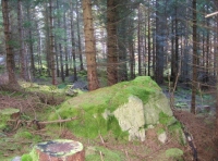 Mossy boulder