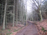 Denmuir Wood - SOLD