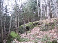 Rocky outcrop