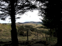 View SE from vantage point