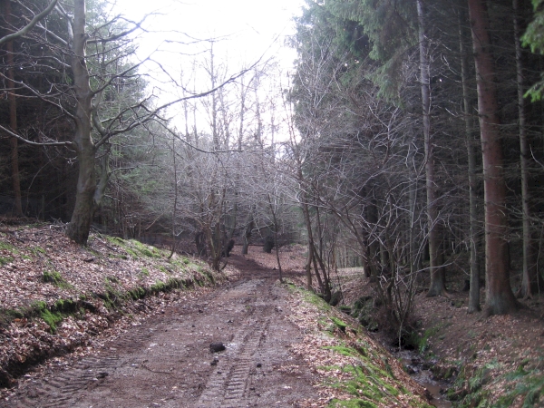 Denmuir Wood - SOLD