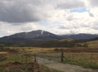 Feorag Wood