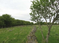 Fergus Meadow - SOLD