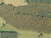 Birds Eye photo from Bing maps