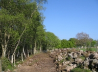 Internal access track