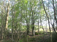 Southern edge