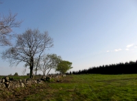 Shared field access track
