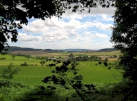 Ferne Wood