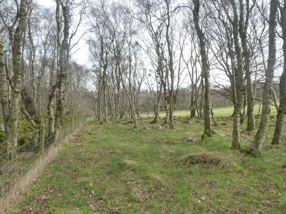 Download this Foresters Meadow Sold Aberdeenshire About Acres picture