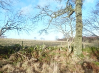 Southern boundary