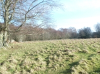 View east from