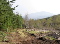 View along west boundary track