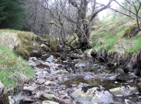 Nearby stream
