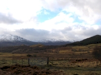 Surrounding area
