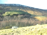 the highest part of the wood is just left of centre