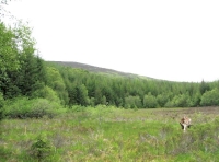View out from North corner