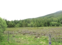 Open heather wetland