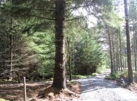 Shared track and entrance into