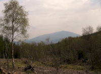 View to Schiehallion from nearby