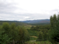 View from glade east towards end of Loch Tummel