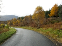Roadside eastern boundary and open/broadleaf area