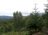 View south towards cloud topped Schiehallion from glade
