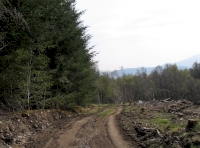 Shared access track to