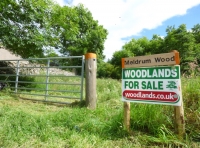 Meldrum Wood - SOLD