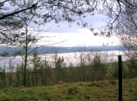 Mushill Wood - SOLD
