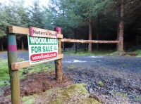 Nadarra Wood - SOLD