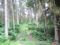 Shared access road