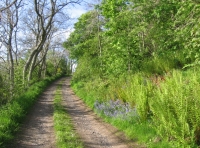 A view from Norman's Law nr.