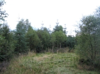 central clearing