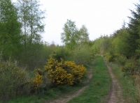 Shared entrance gate