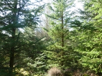 West public road boundary