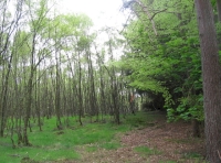 Internal access track