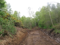 Shared access track