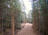 Stravaig Wood - SOLD