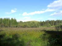 View over heath to Torr Mor
