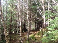 private path