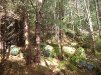 Rockery