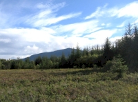 view to Schiehallion