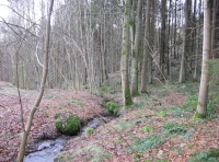 tumbling stream