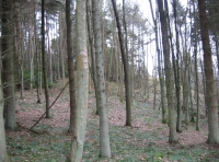 gentle slopes of